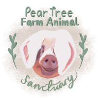 Pear Tree Farm Animal Sanctuary
